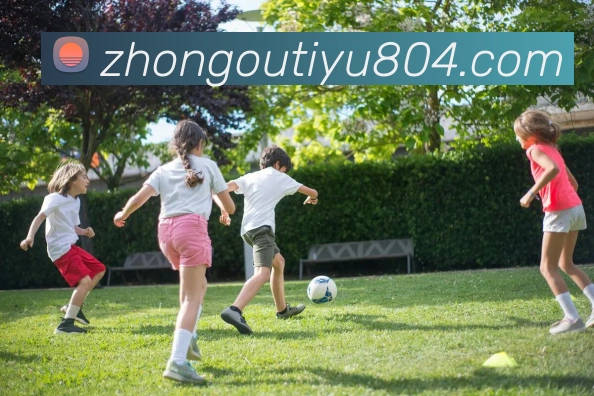 中欧体育服务体系